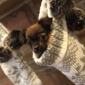 Meet your Posher, Shellie